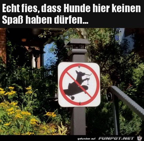 Hunde drfen keinen Spa haben