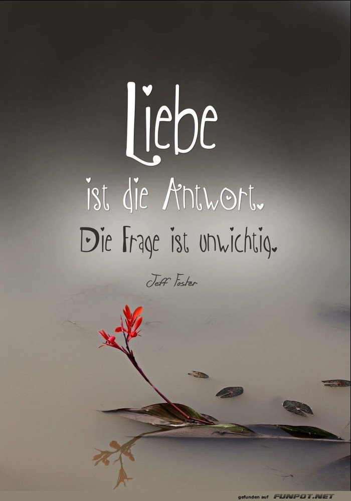 schne Sprche zur Liebe und Partnerschaft