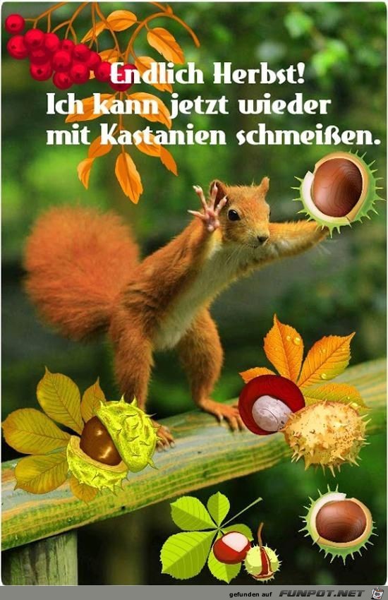 Endlich Herbst...