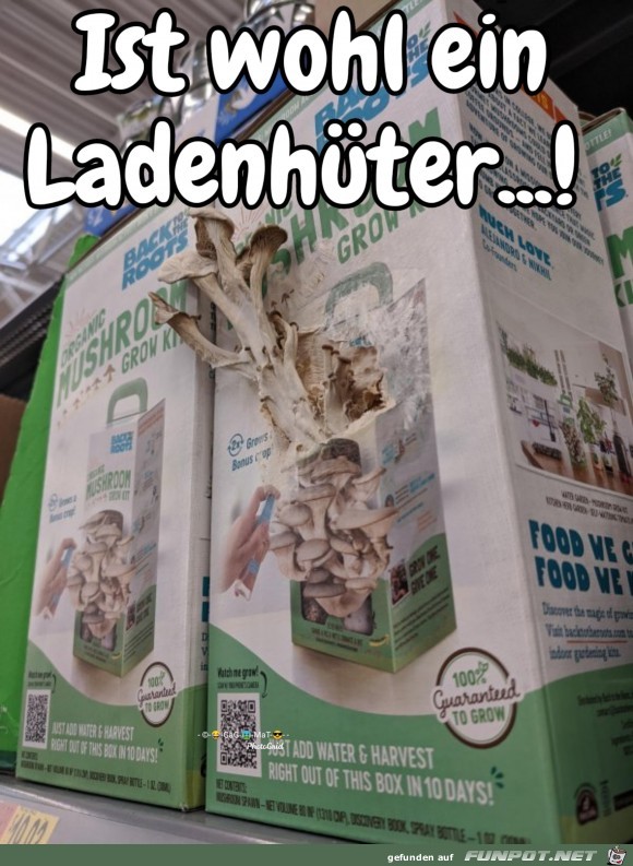 Ladenhueter