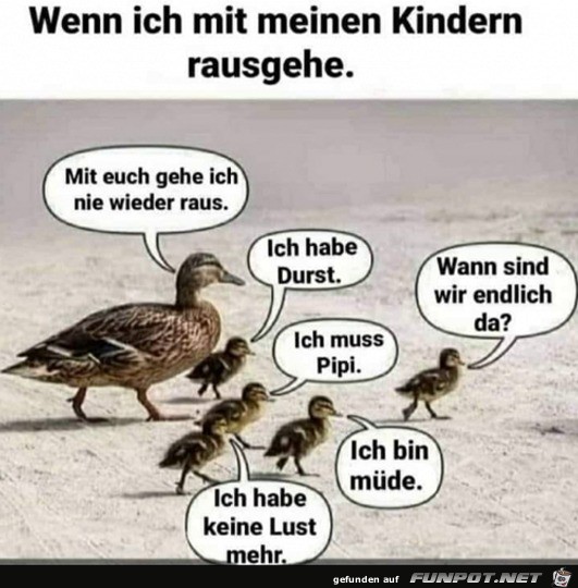 Enten-Ausflug