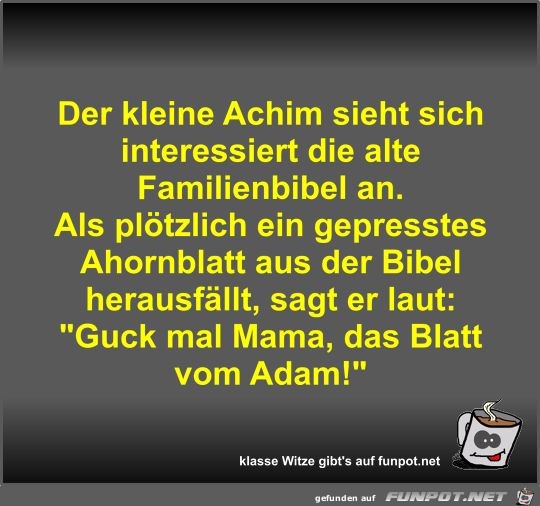 Der kleine Achim sieht sich interessiert die alte... Der kleine Achim sieht sich interessiert die alte...