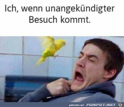 wenn unangekndigter Besuch kommt