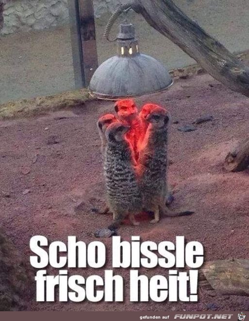 Etwas frisch heute