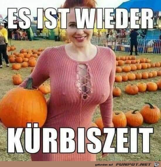 Kuerbiszeit