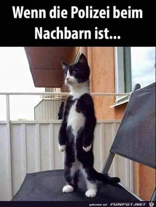 Wenn die Polizei beim Nachbarn ist