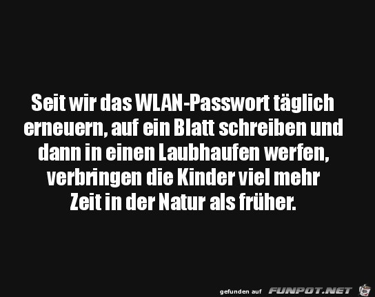 Wlan-Passwort im Laubhaufen verstecken