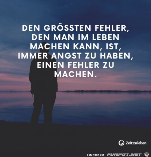 Fehler im Leben