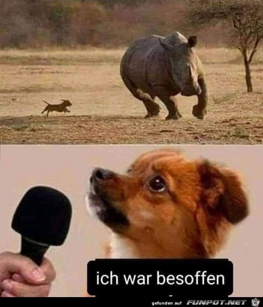 Ich kann das erklren