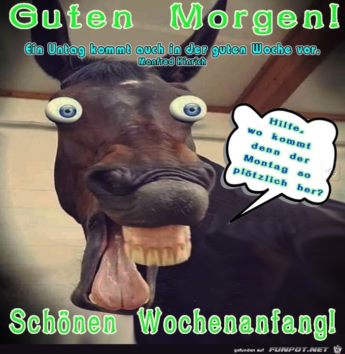 Montag