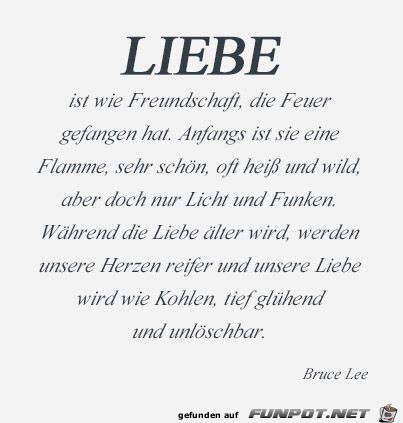 Die Liebe