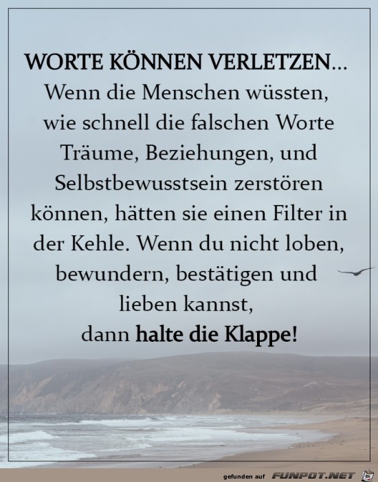 Die falschen Worte