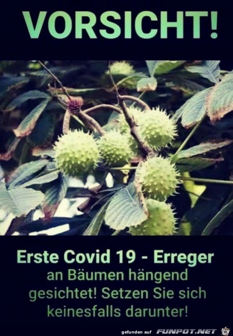 Covid-Erreger am Baum