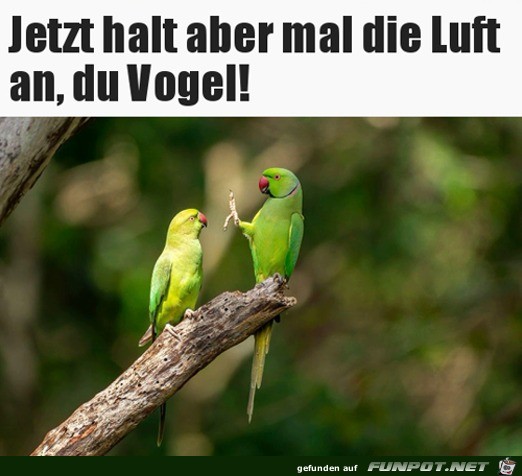 Halt mal die Luft an