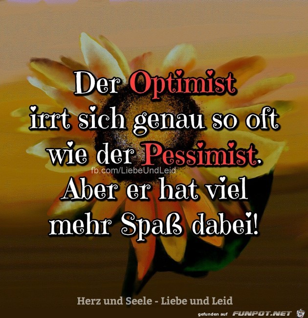 Der Optimist