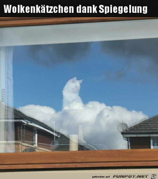 Wolkenktzchen