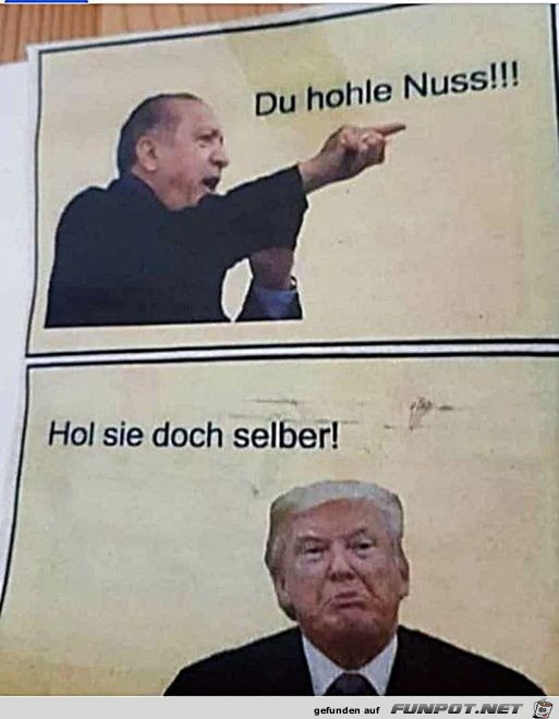 Eine hohle Nuss