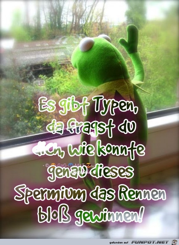 Sieger Sieger