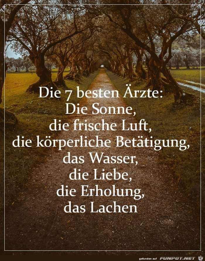 Die 7 besten Aerzte