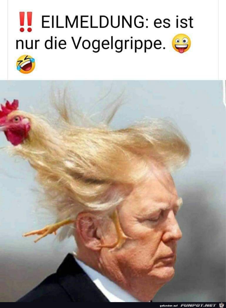 Vogelgrippe