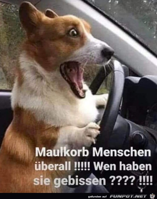 alle Menschen tragen Maulkorb