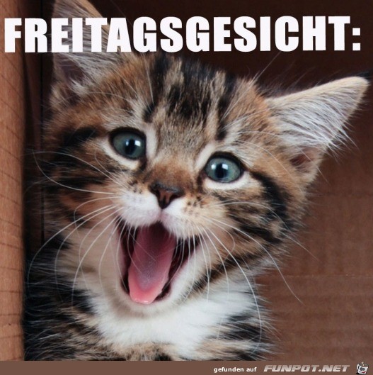 Freitagsgesicht