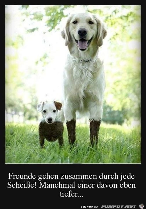 So sind Freunde