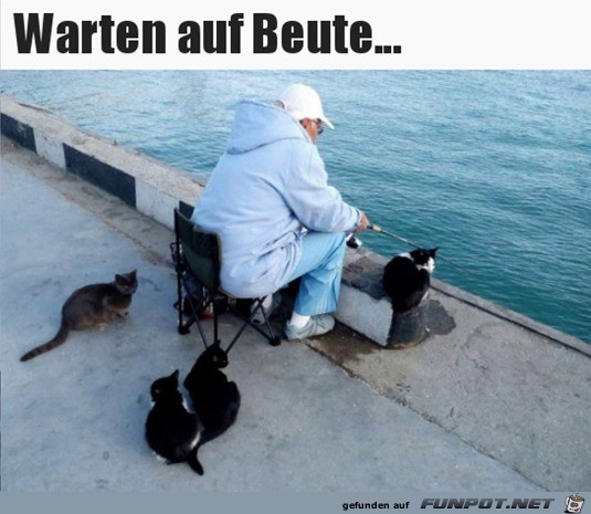 Wo bleibt die Beute?