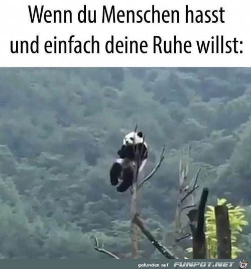 Ich will meine Ruhe