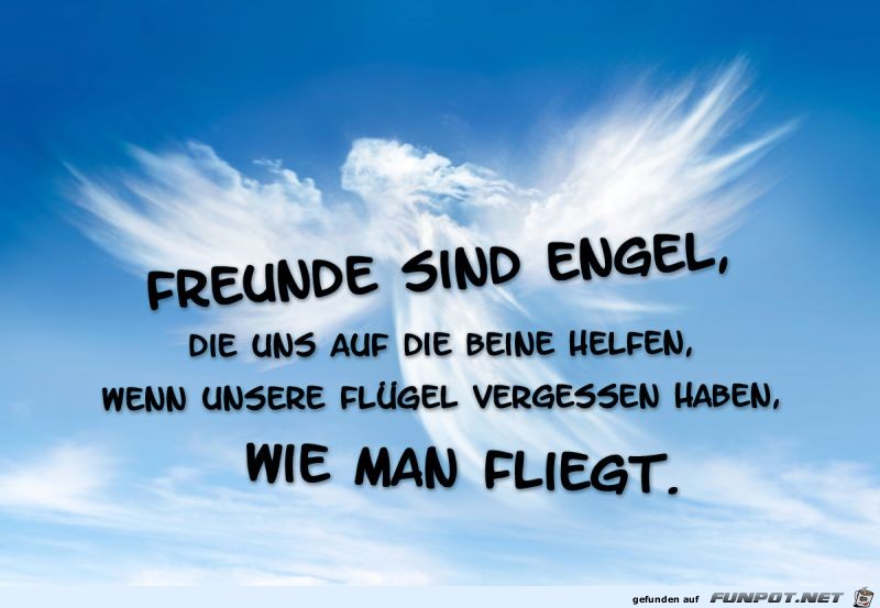 Freunde sind Engel...