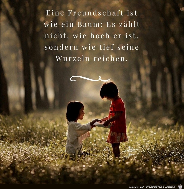 Eine Freundschaft ist wie...