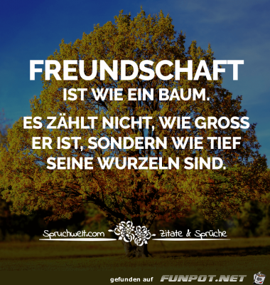 Freundschaft ist wie...