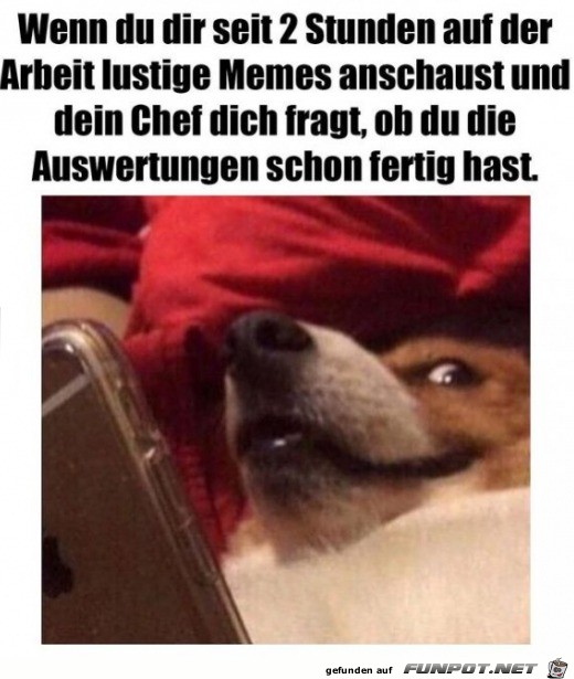 Wenn dich dein Chef fragt