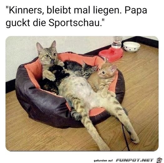 witzige Bilder aus verschiedenen Blogs