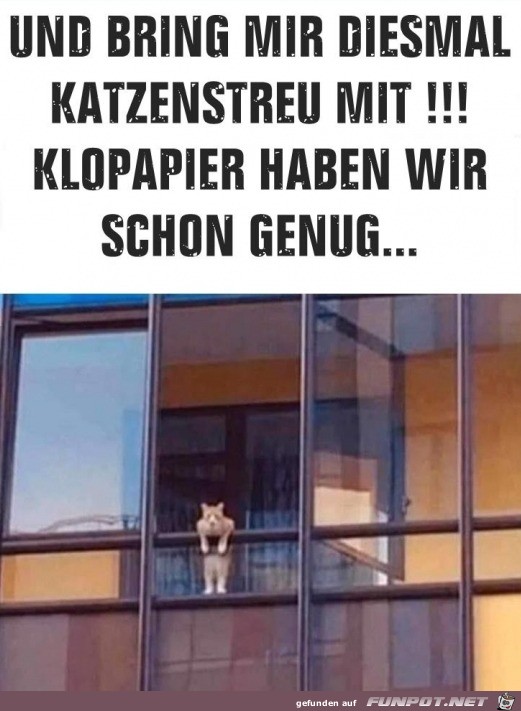 Bring Katzenstreu mit