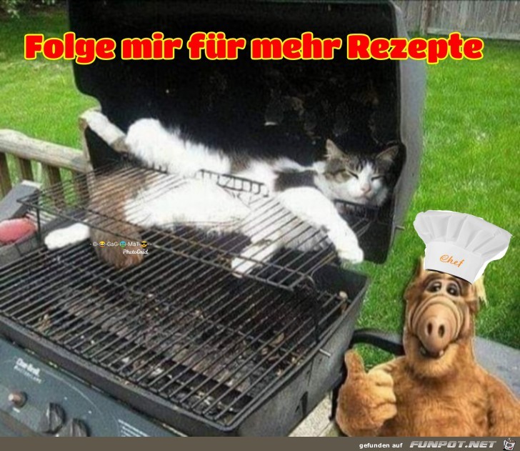 Lecker Grillen