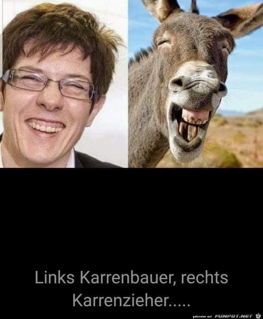 die Karren