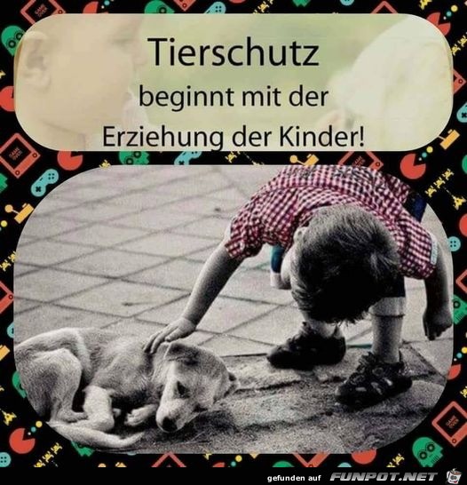 Tierschutz