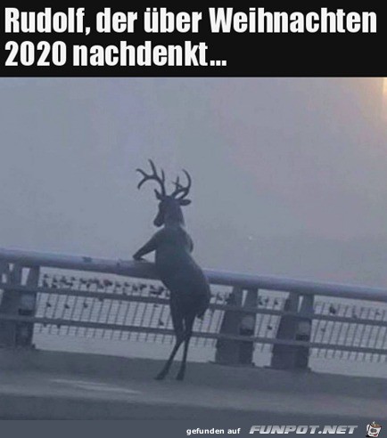 Rudolf denkt ber Weihnachten nach