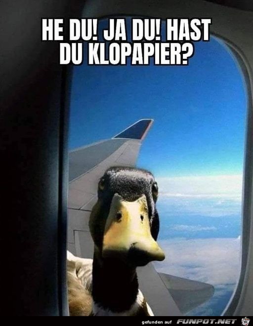 Hast du Klopapier?