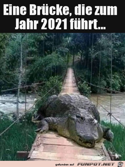 Brcke zum Jahr 2021