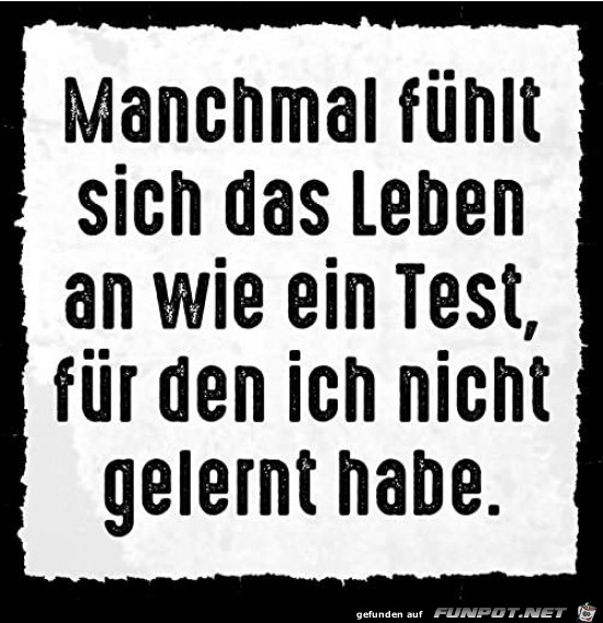 Das Leben ist ein Test