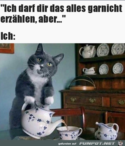 Eigentlich drfte ich nichts erzhlen