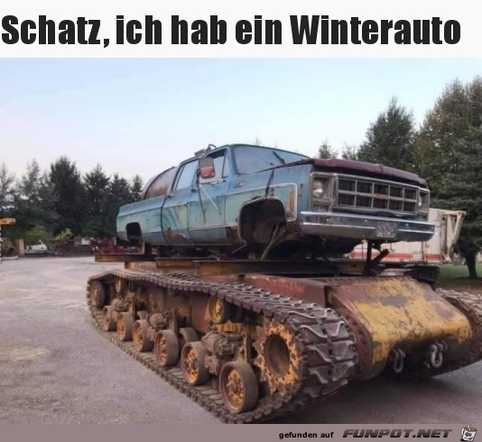 Schatz Ich hab ein Winterauto