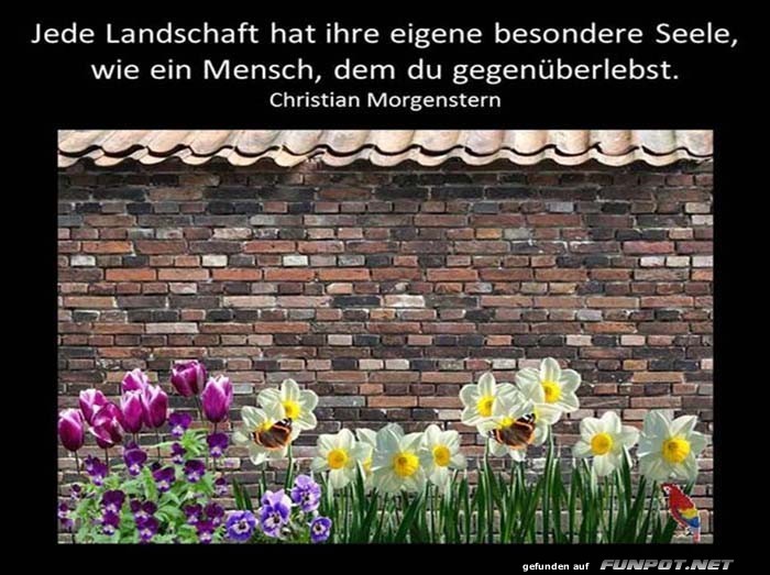 Jede Landschaft Jede Landschaft