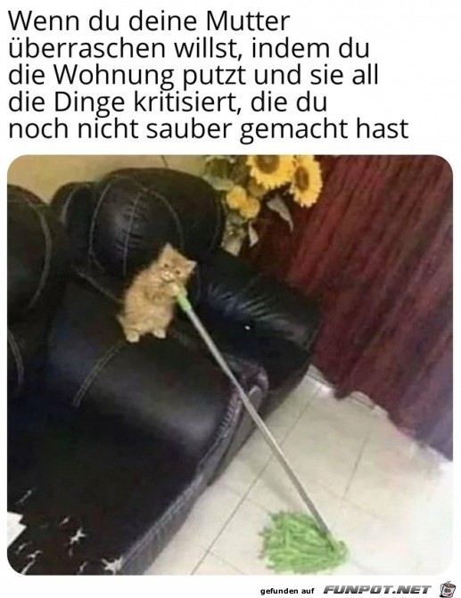 Deine Mutter kritisiert dich