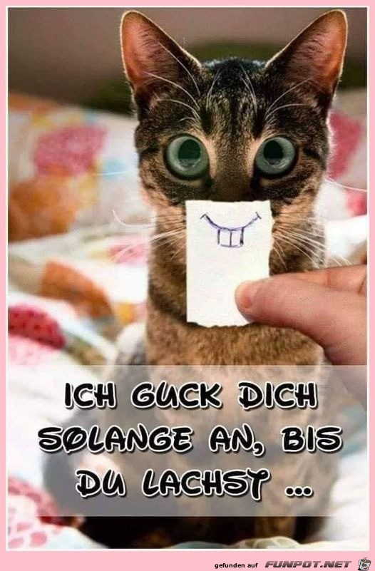 Lach endlich