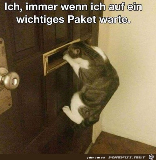 Wenn ich ein wichtiges Pakte erwarte