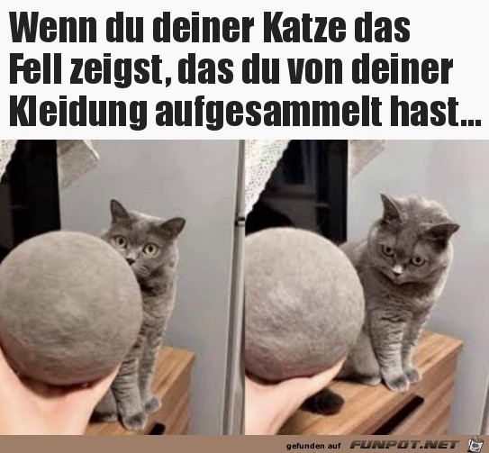 witzige Bilder aus verschiedenen Blogs