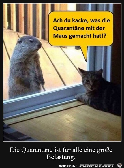 Die Maus hat sich aber verndert